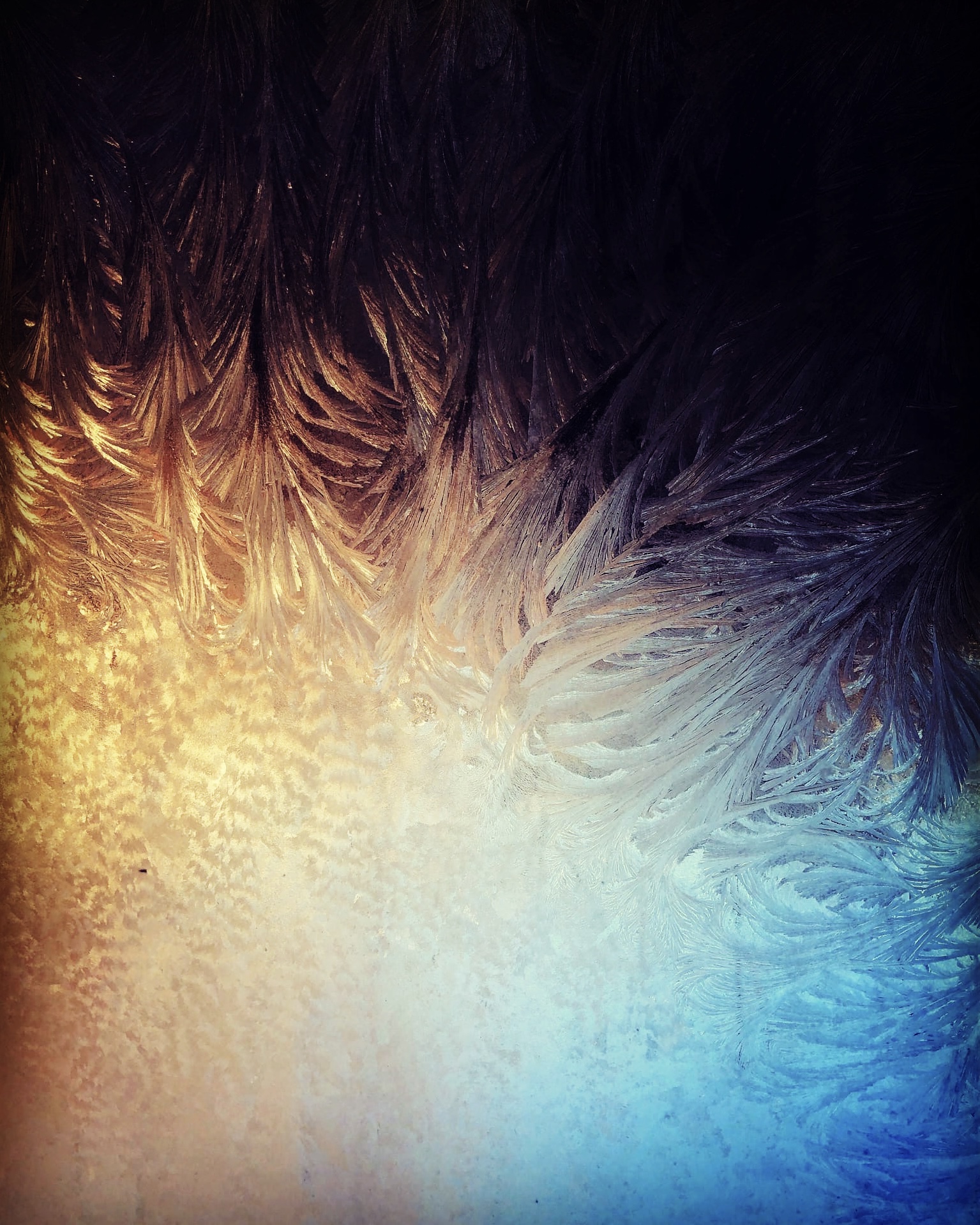 Иней-градиент 